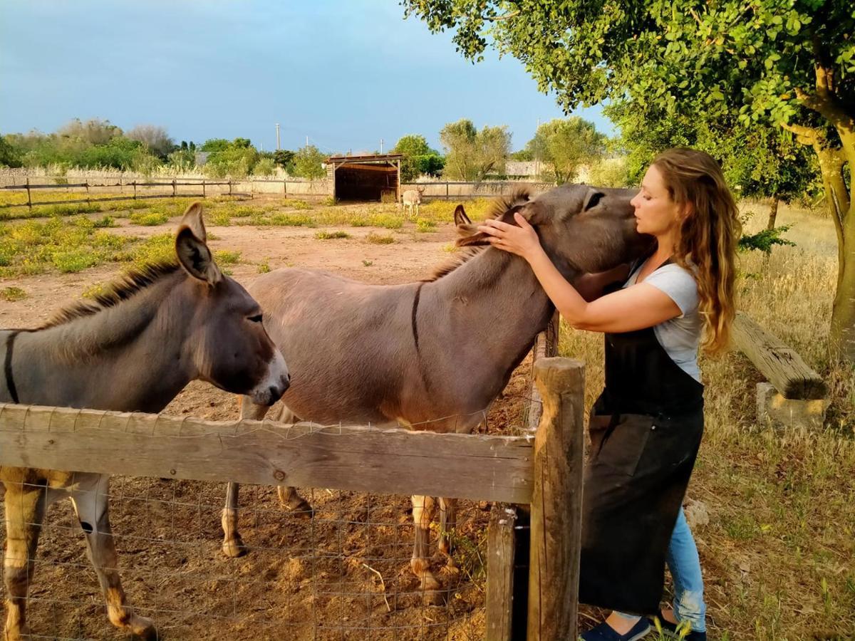 Volito Rural Experience Ξενοδοχείο Patù Εξωτερικό φωτογραφία